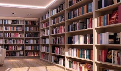 Indian Educational Services