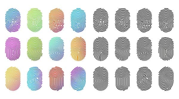 Indian Educational Services